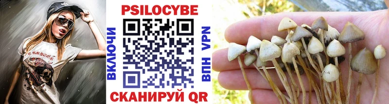 Галлюциногенные грибы Psilocybine cubensis  Купить где  Морозовск 