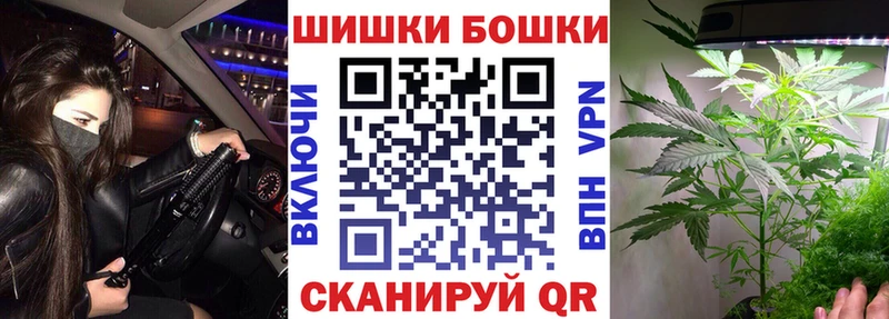Купить где  Морозовск  Канабис OG Kush 